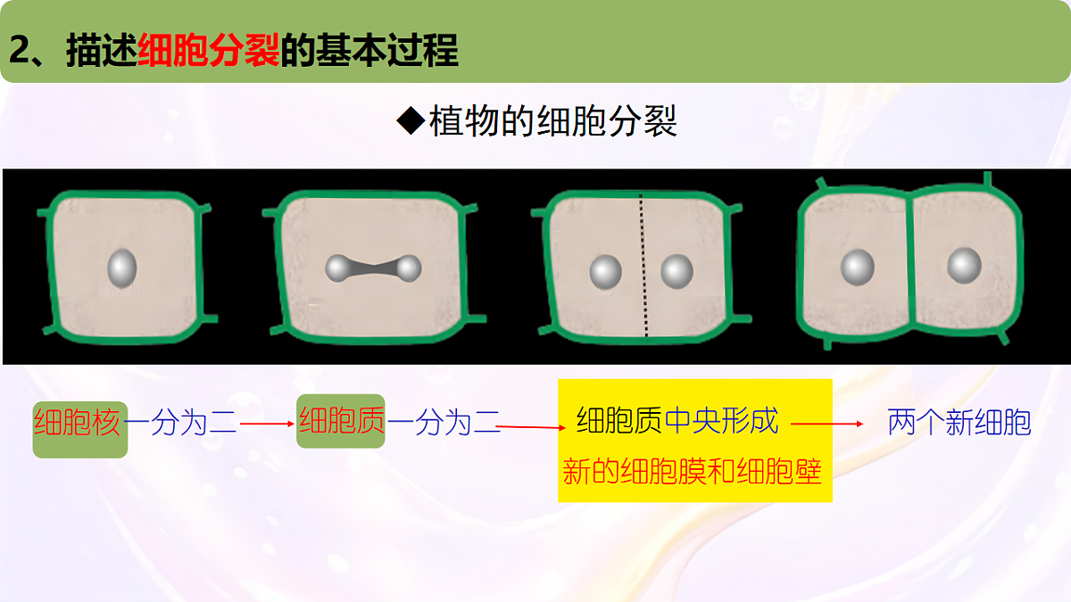 17729172第7页