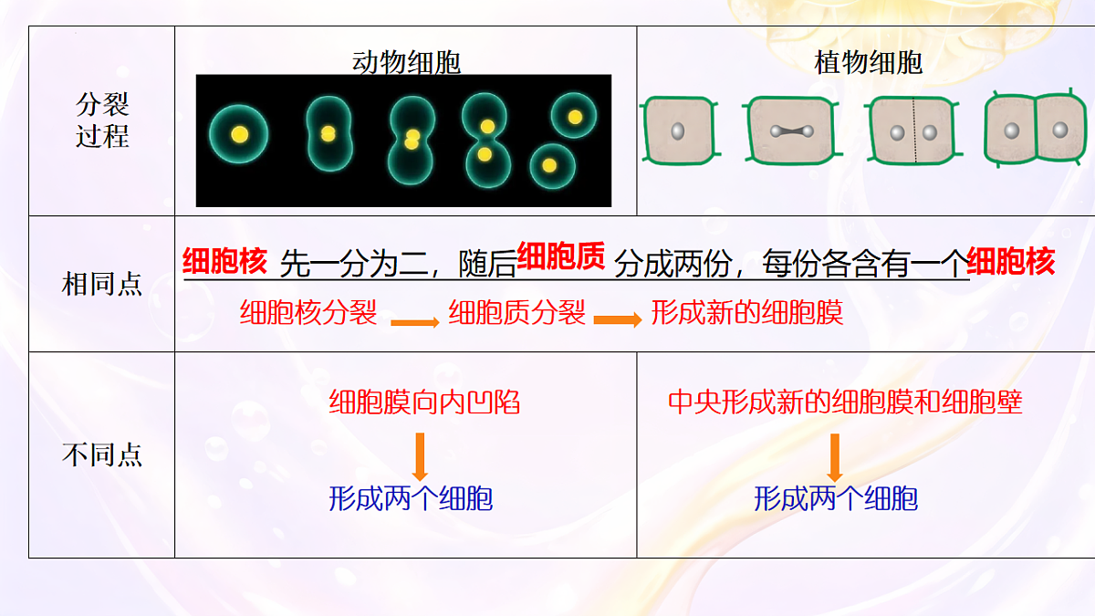17729172第8页