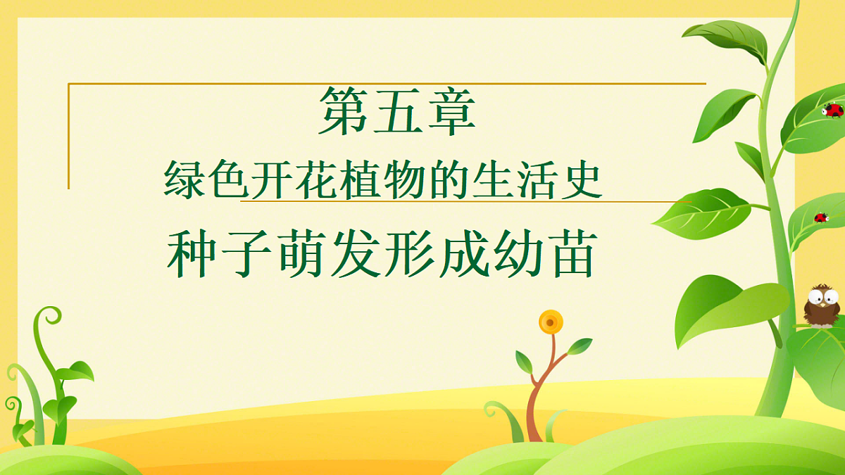 17729544第1页