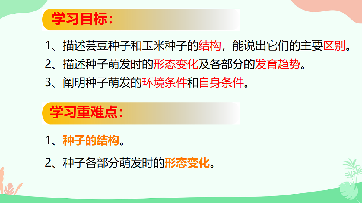 17729544第2页