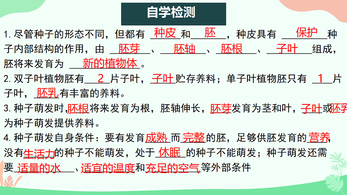 17729544第4页