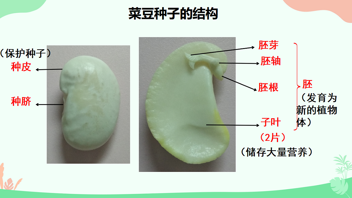 17729544第5页