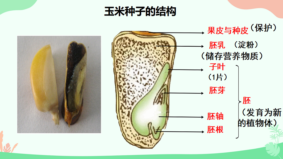 17729544第6页