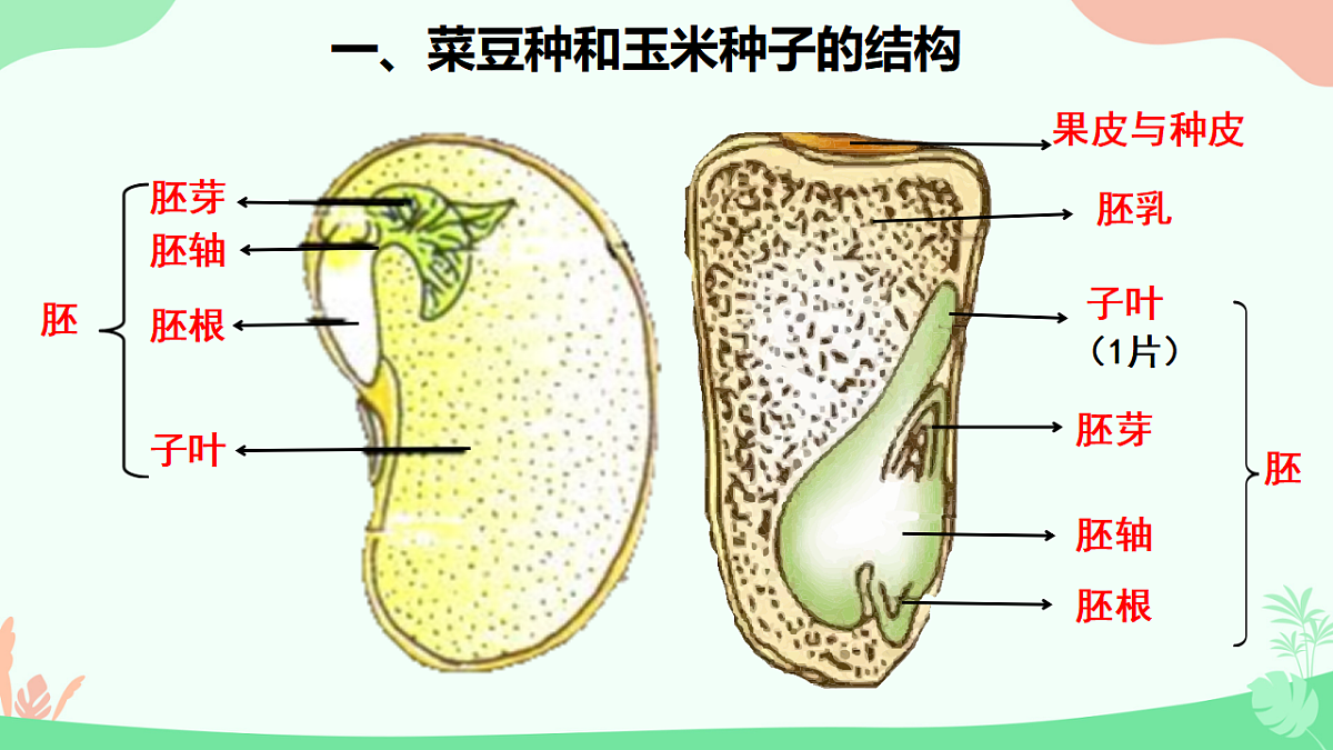 17729544第7页