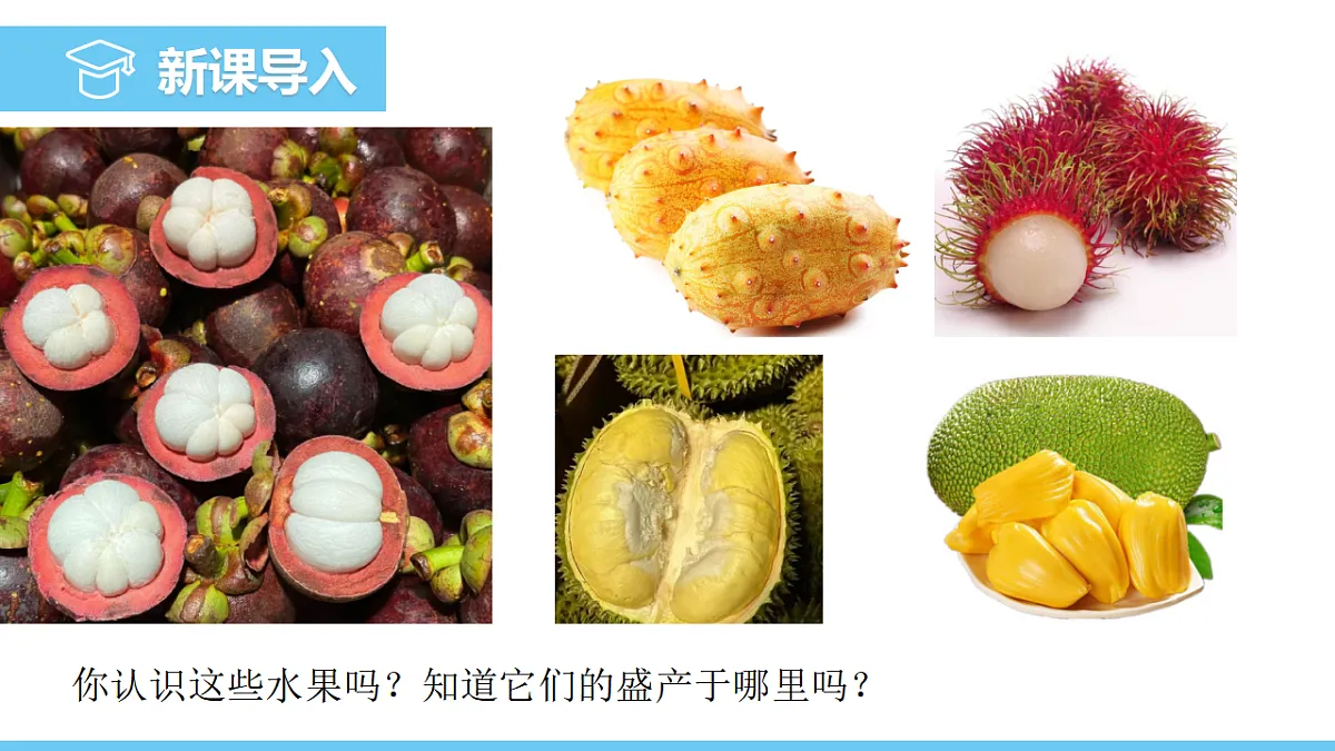 17731850第3页