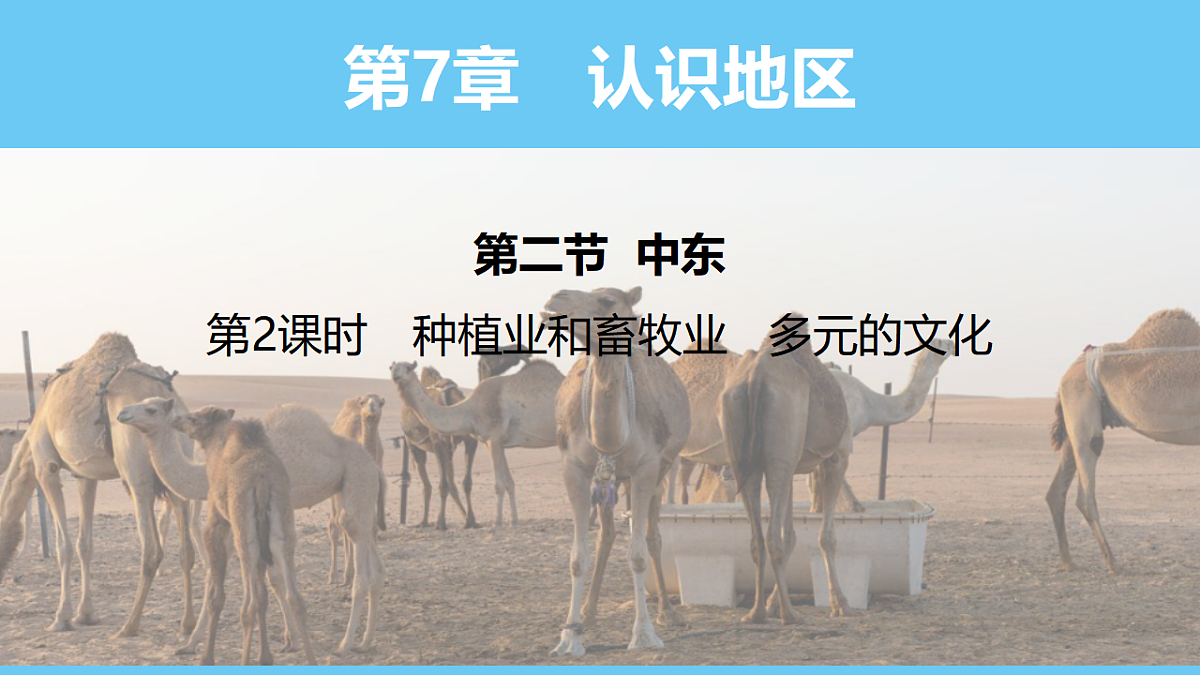 17731852第1页