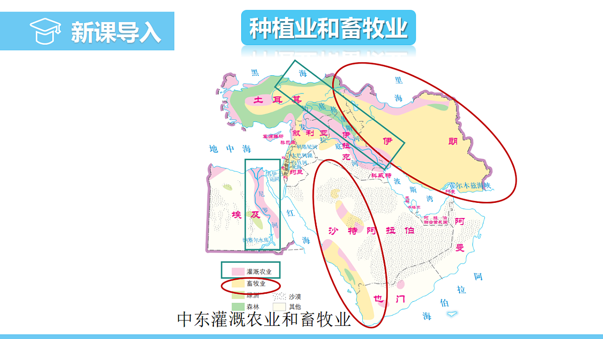 17731852第4页