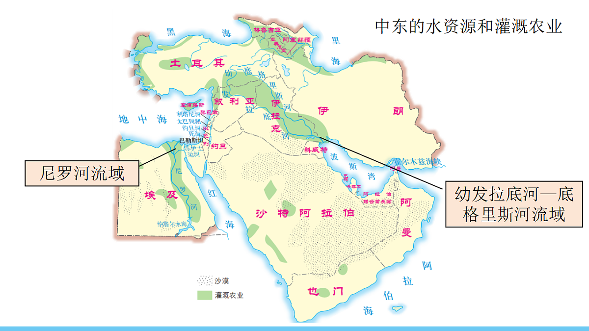 17731852第5页
