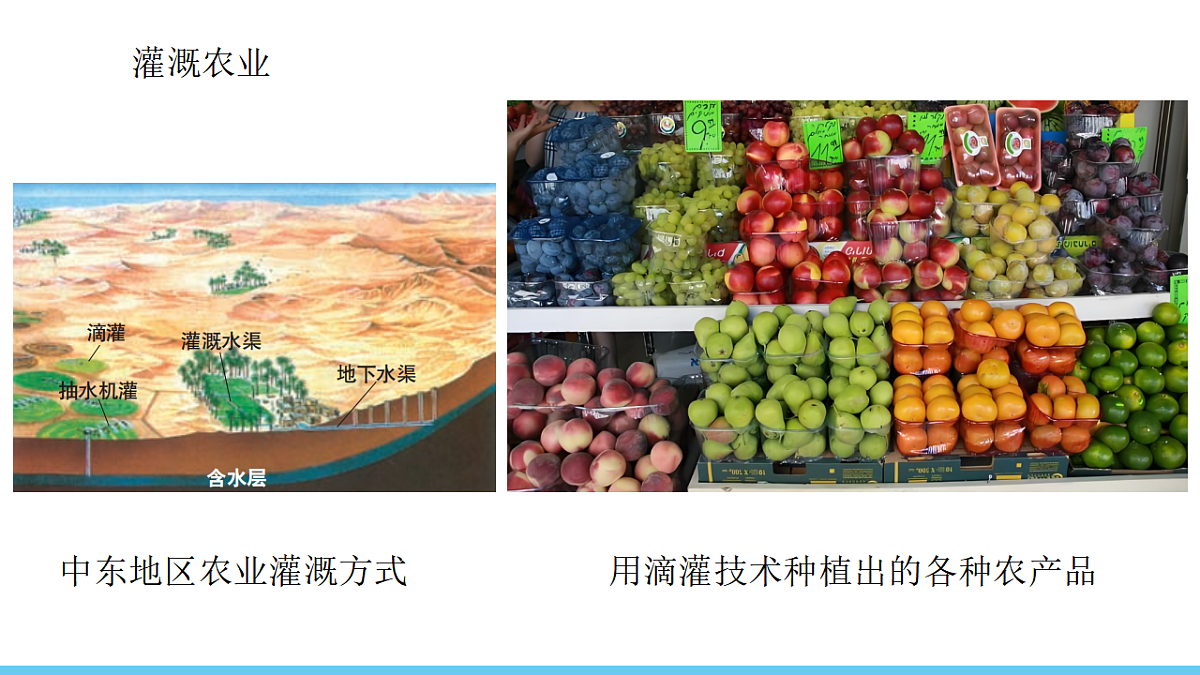 17731852第8页