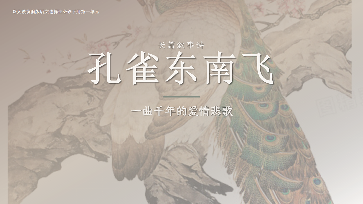2026年统编版语文选择性必修下册第一单元《孔雀东南飞》课件第1页