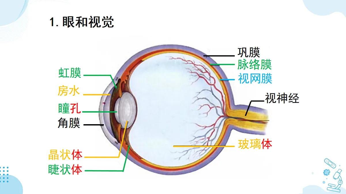 17732933第4页