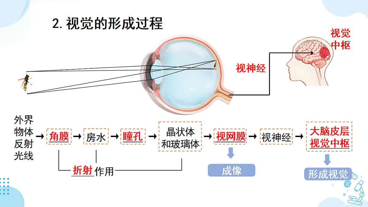 17732933第5页