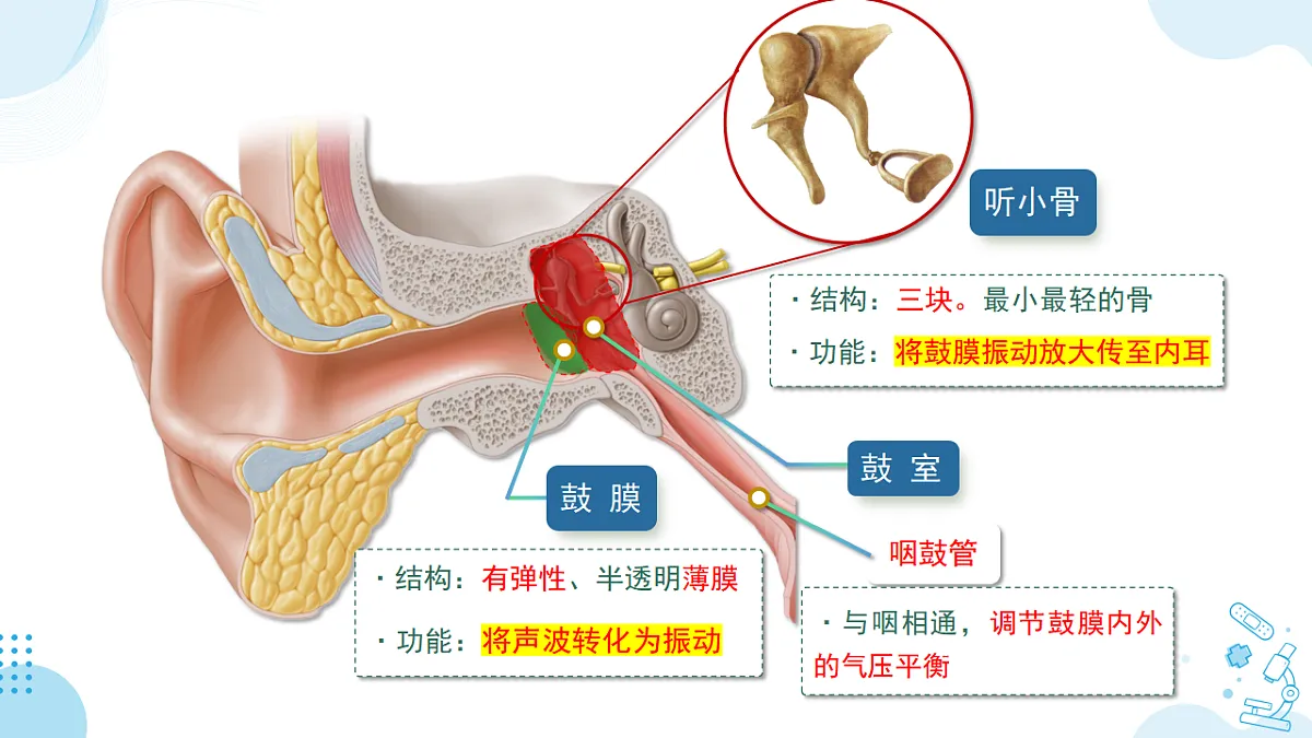17732933第7页