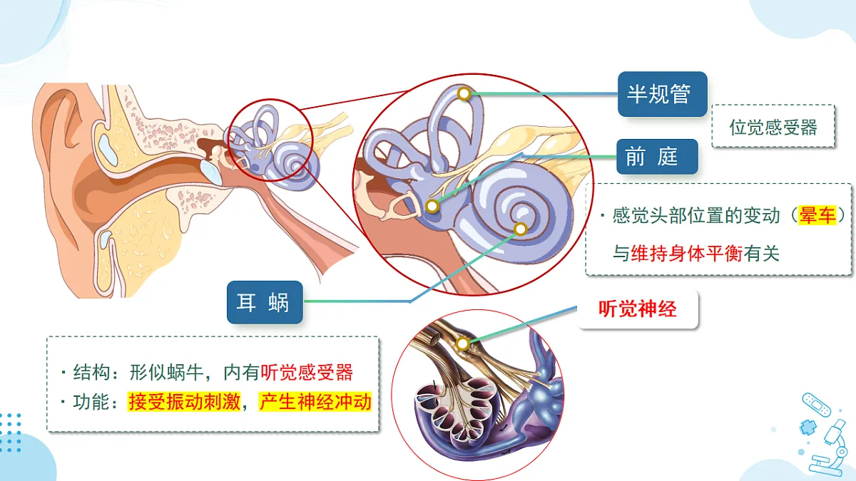17732933第8页