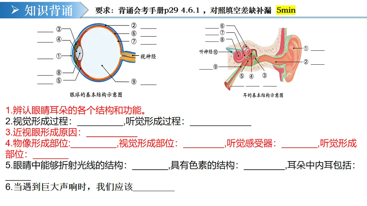 17732934第3页