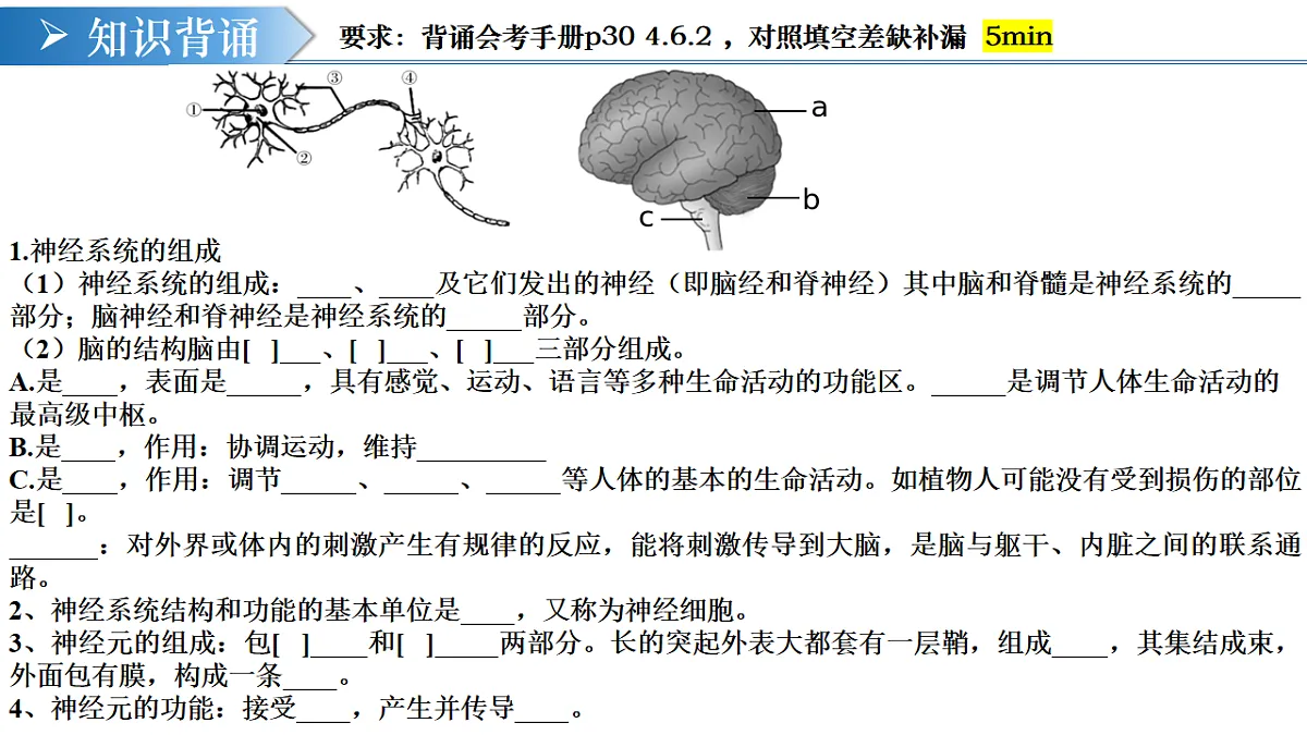 17732934第5页