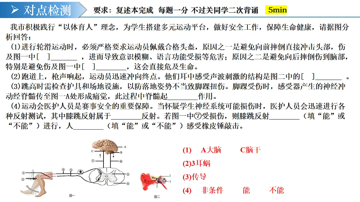 17732934第7页