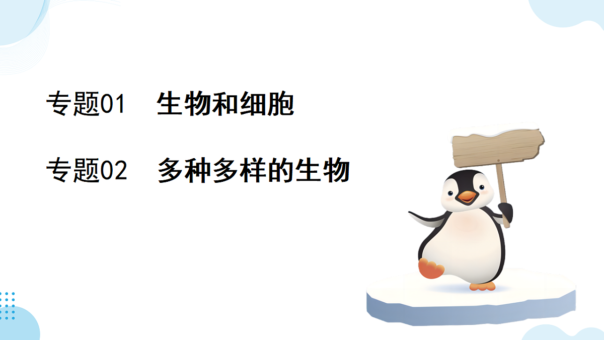 17732935第2页