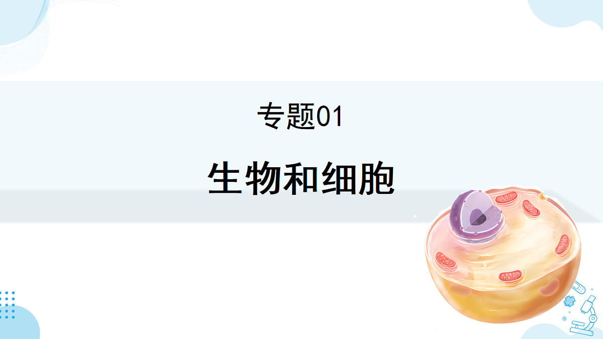 17732935第3页