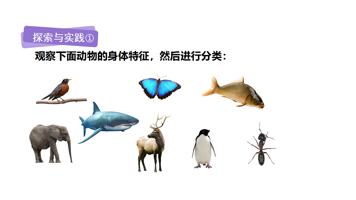 17735076第5页