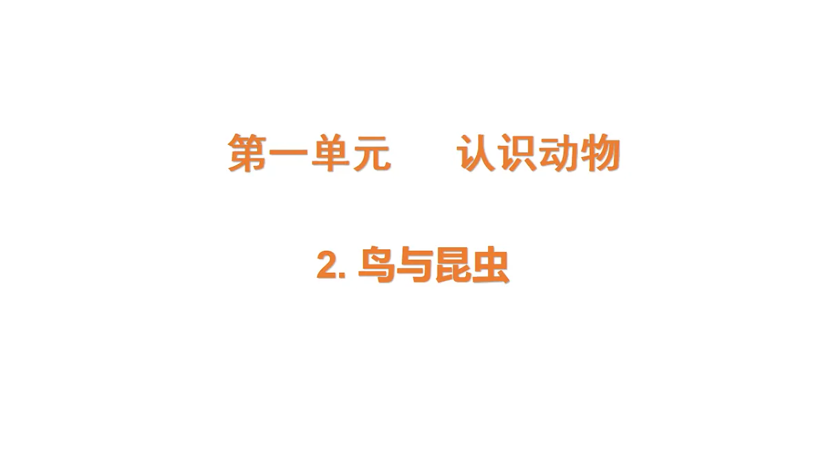 17735077第1页