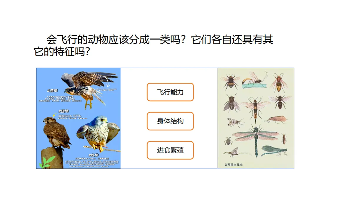 17735077第2页
