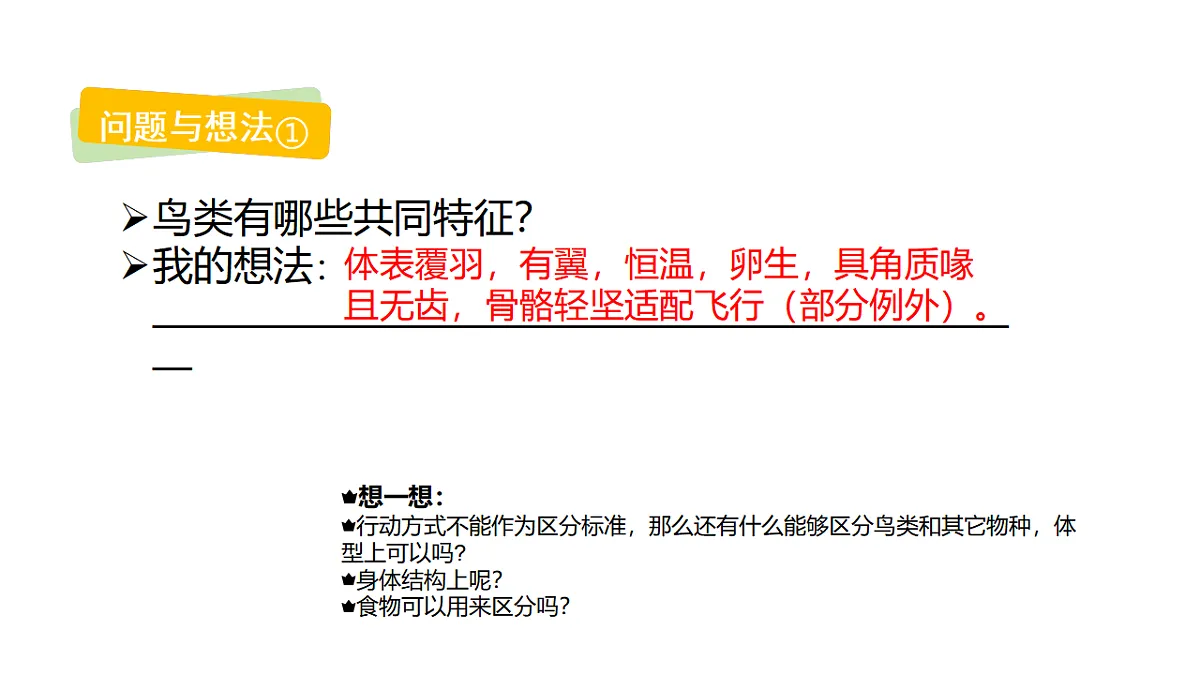17735077第3页