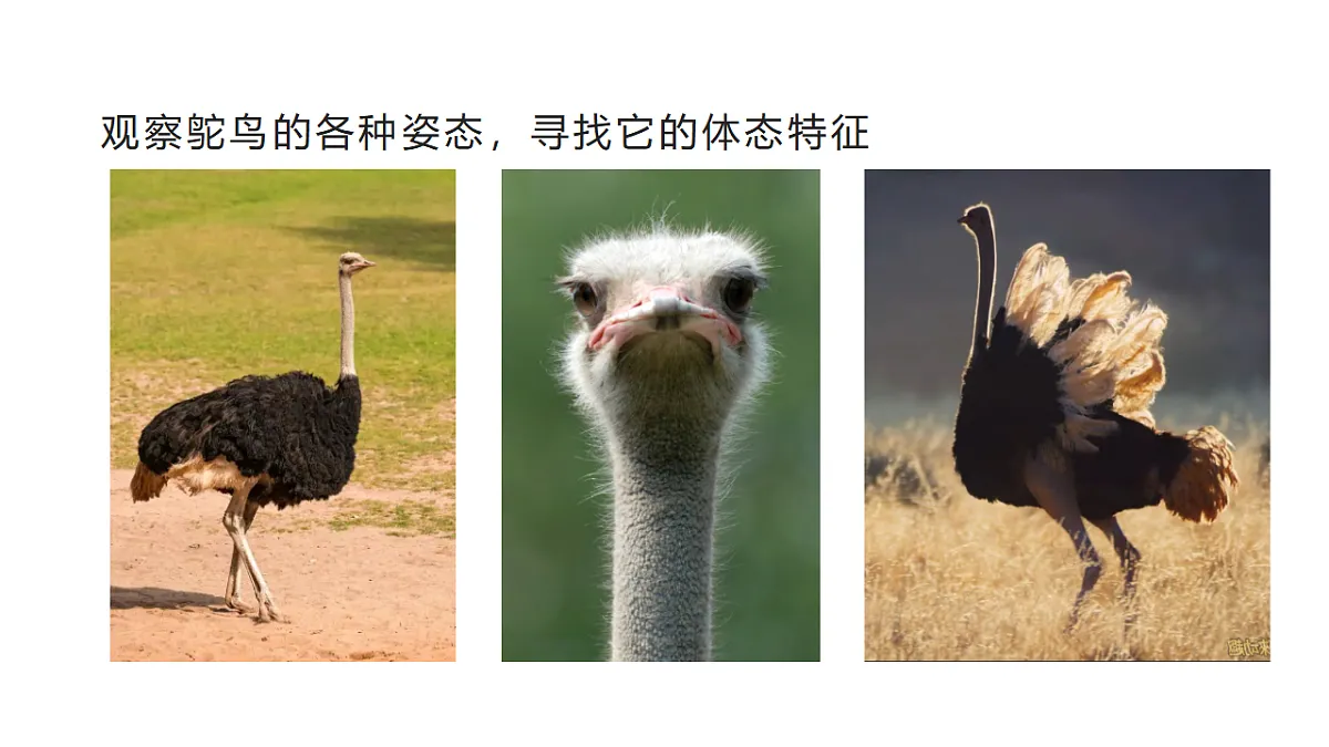 17735077第6页
