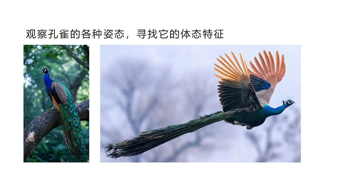 17735077第8页