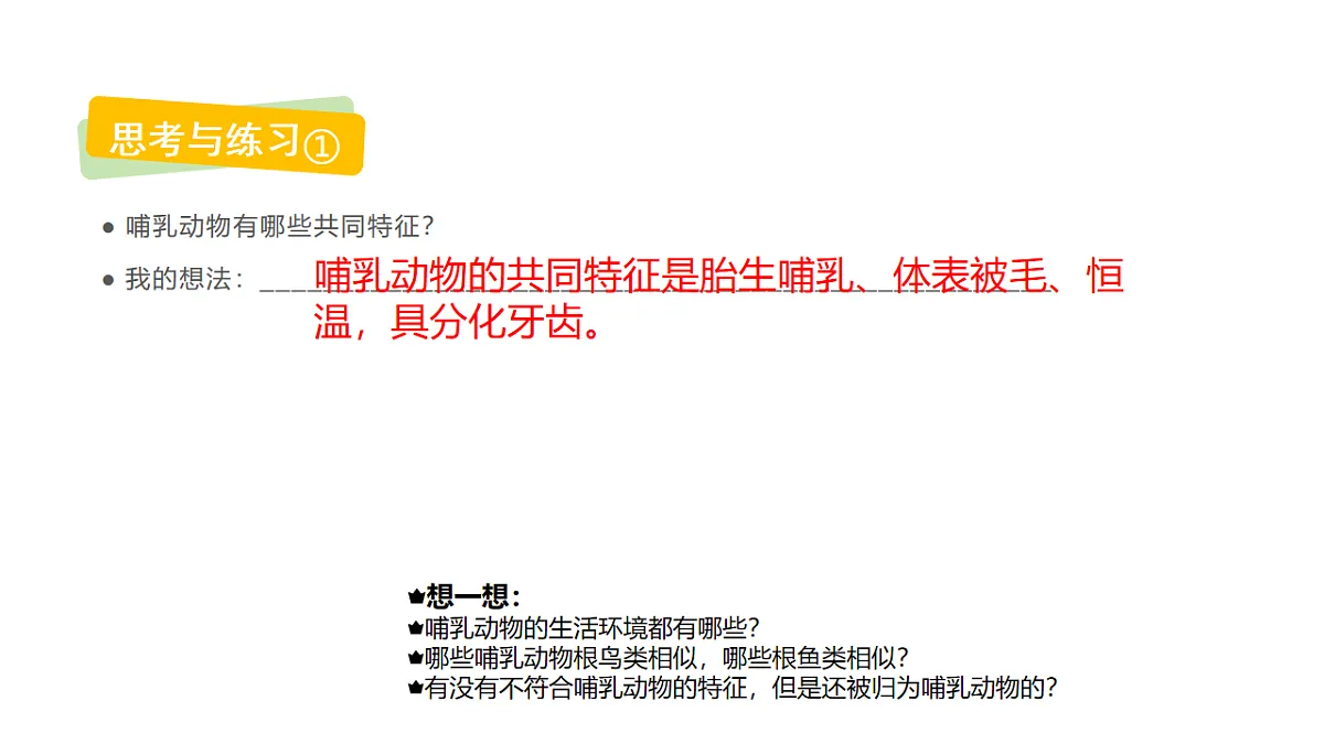 17735079第3页