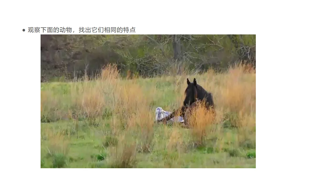 17735079第6页