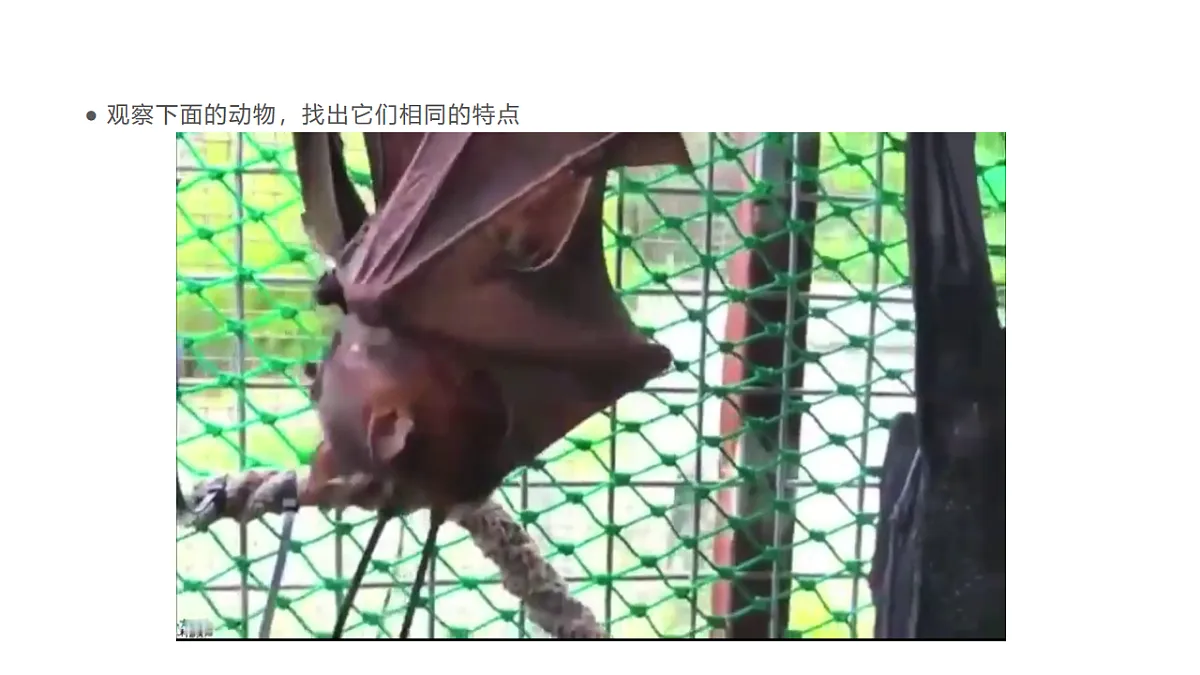 17735079第7页