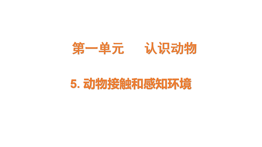 17735124第1页