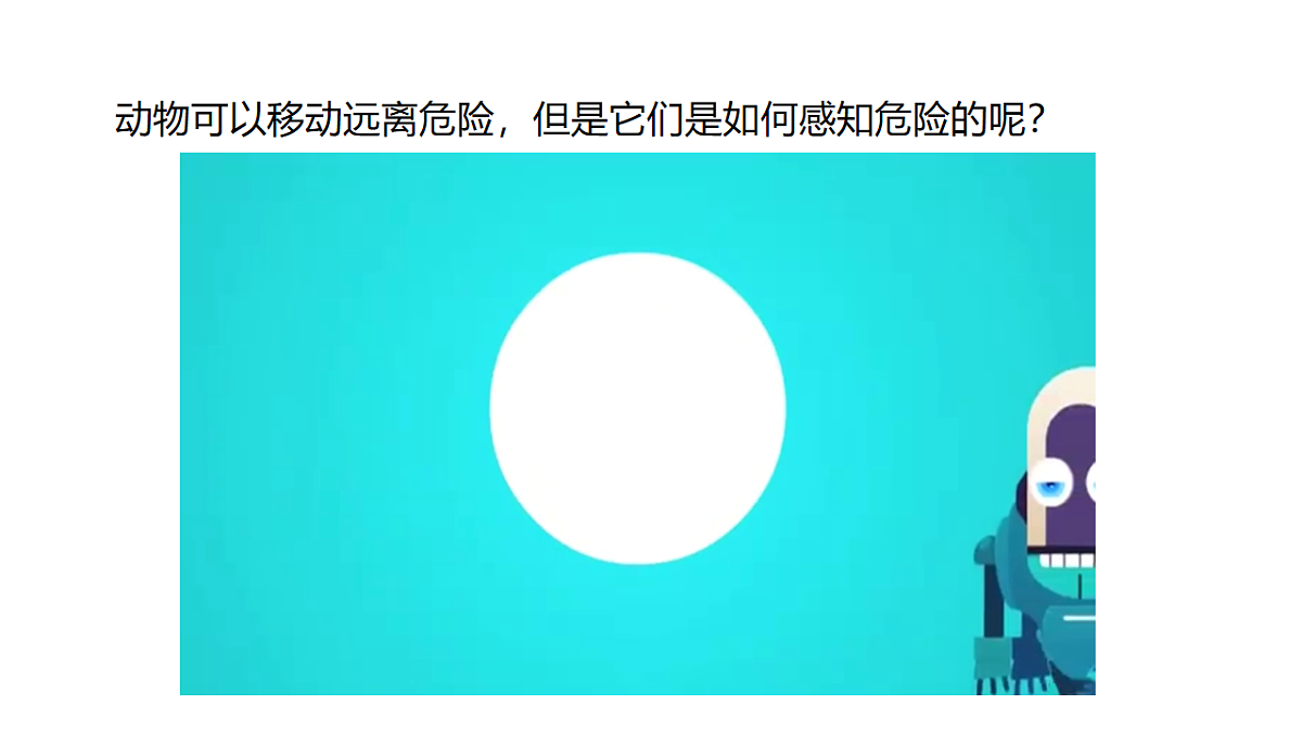 17735124第2页