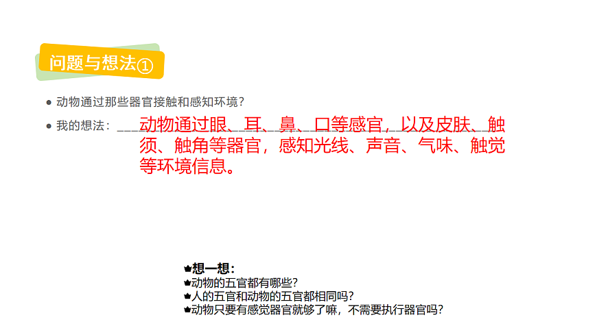 17735124第3页