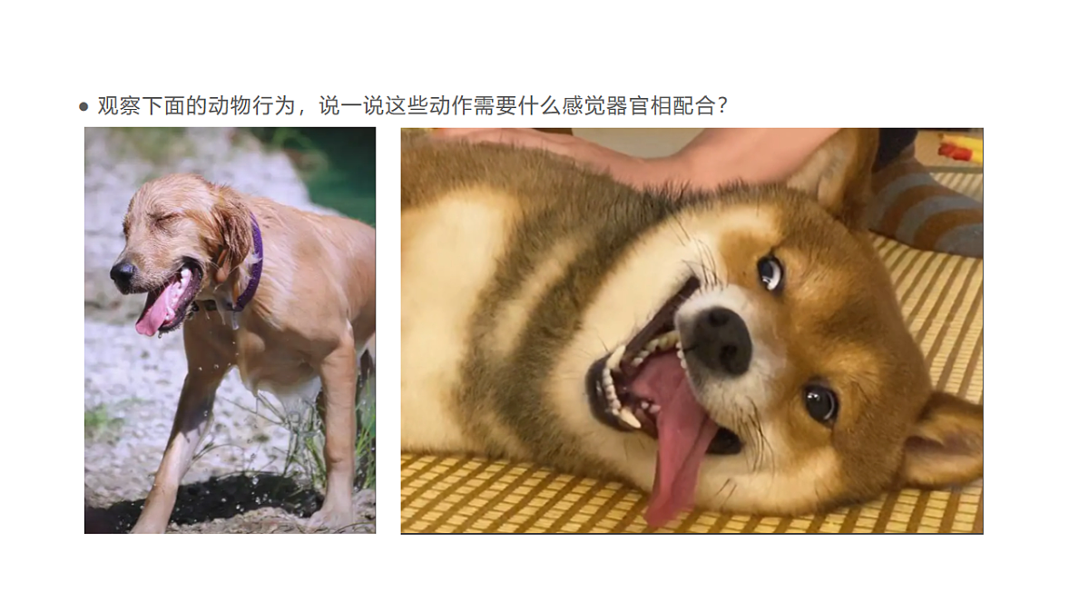 17735124第6页