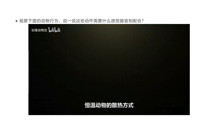 17735124第7页