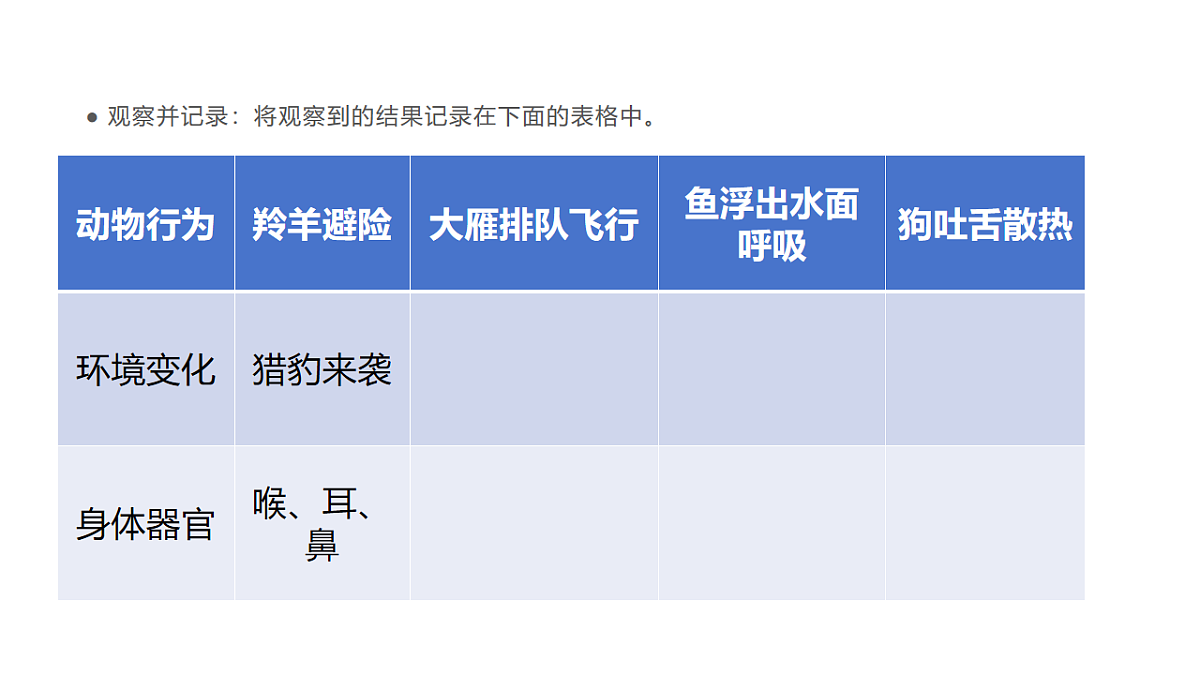 17735124第8页