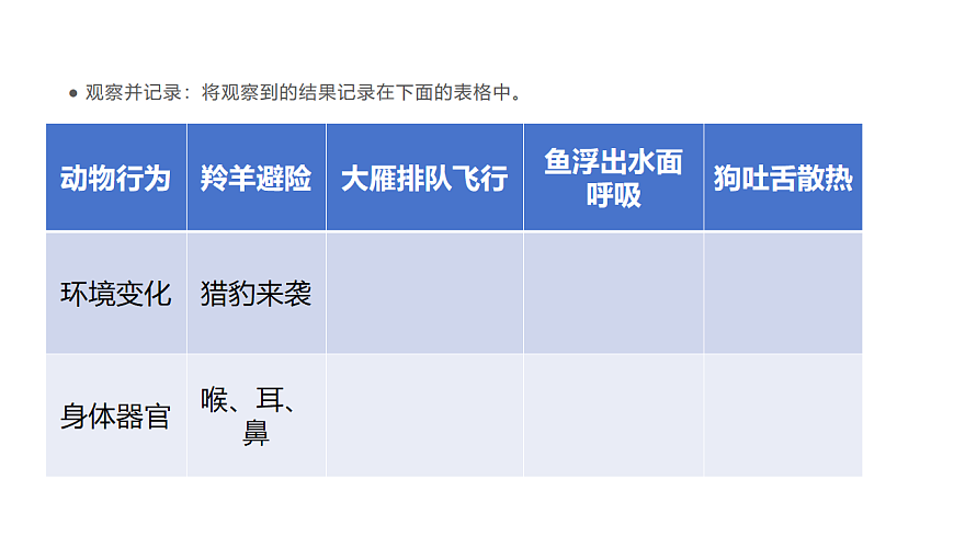 17735124第8页