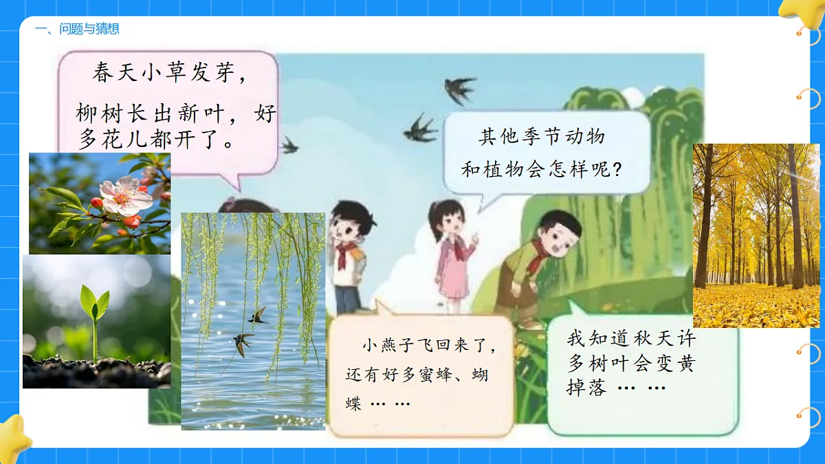 17736013第2页