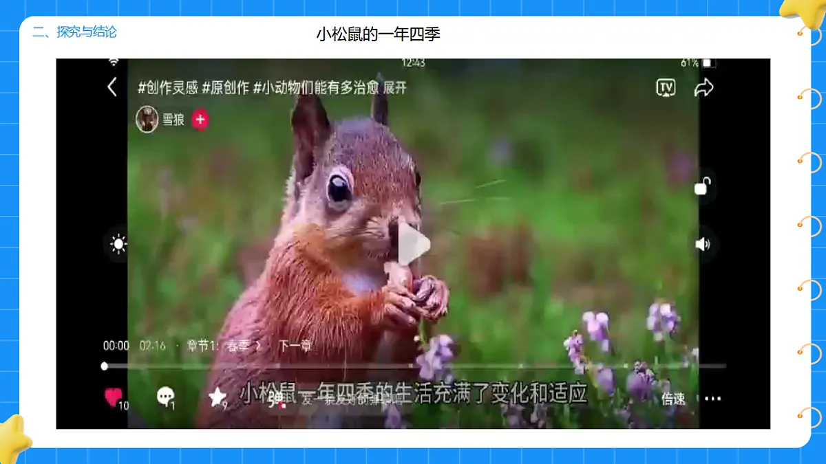 17736013第6页