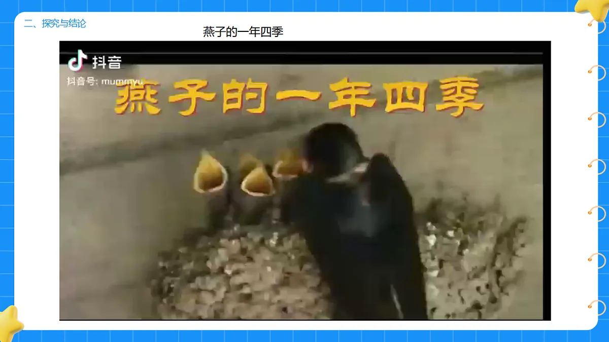 17736013第7页