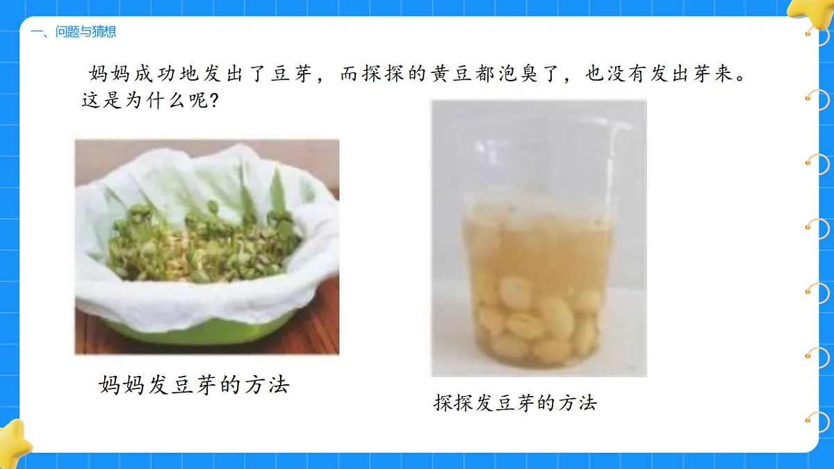 17736229第2页
