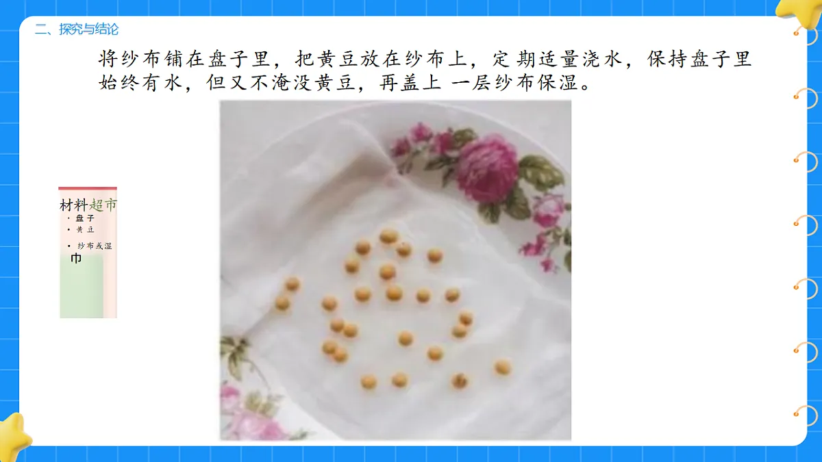 17736229第4页