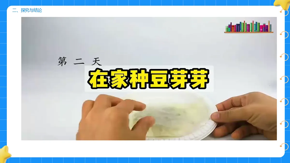 17736229第5页
