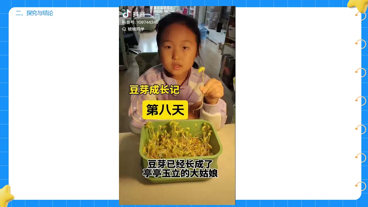 17736229第7页
