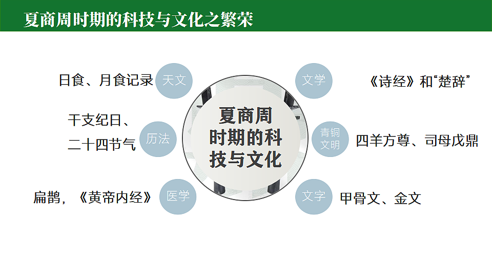 17736318第3页