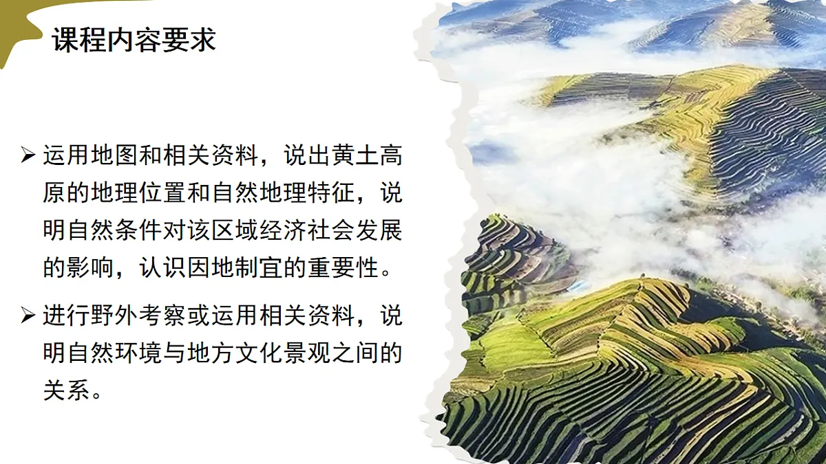 17736516第3页