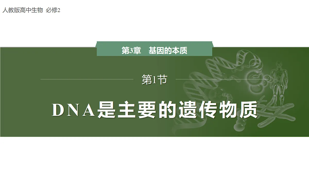 17738746第1页