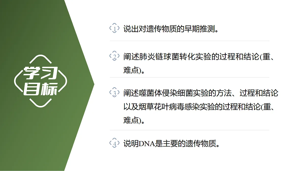 17738746第2页